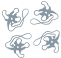 Transthyretin (TTR) tetramers dissociate into monomers