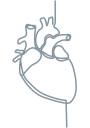 Cardiac manifestations